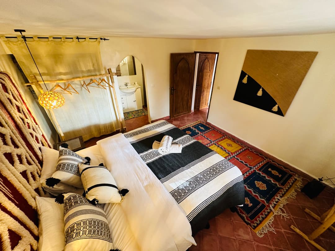 petitIguaneIfradenTitle