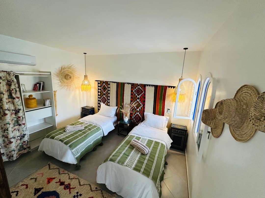 petitIguaneIfradenTitle