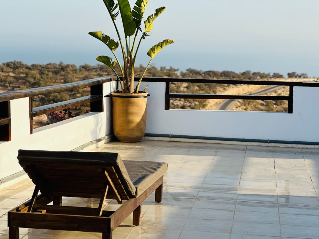 petitIguaneIfradenTitle