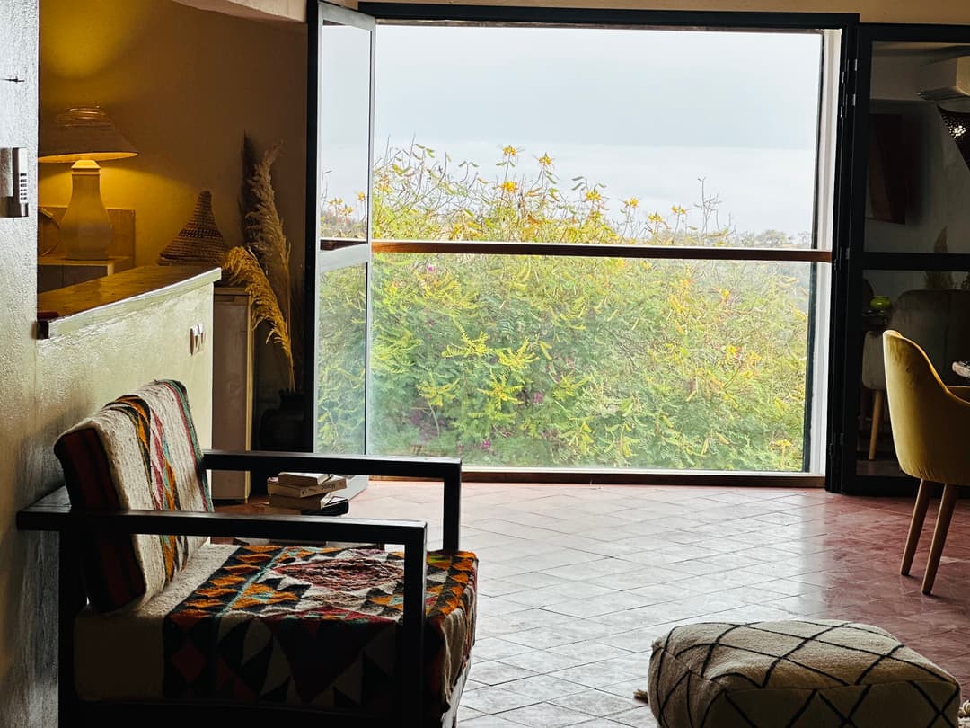 petitIguaneIfradenTitle